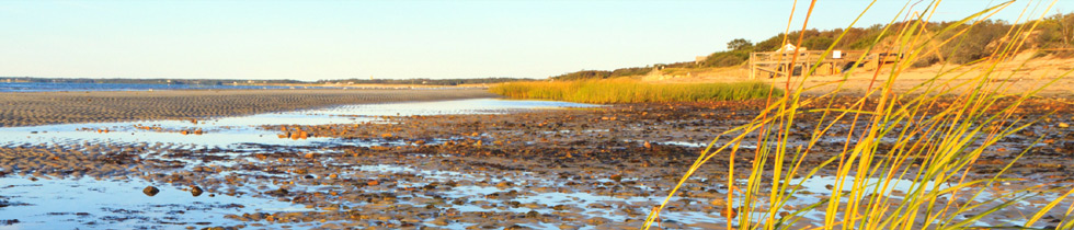 beach_interior_980x210